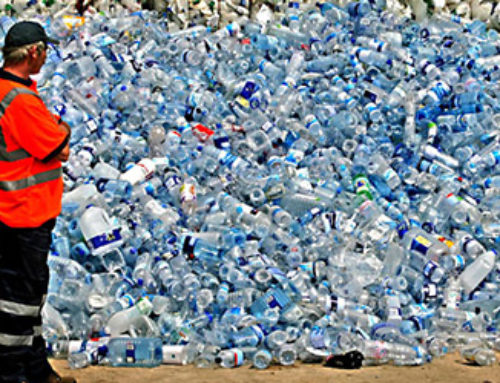 PET Bottle Recycling